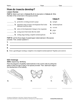 How Do Insects Develop?