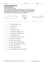 Activity: Comparing Worms